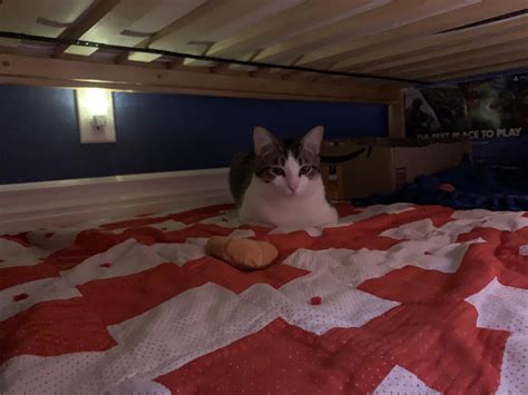 overview for lesyamoon-sg