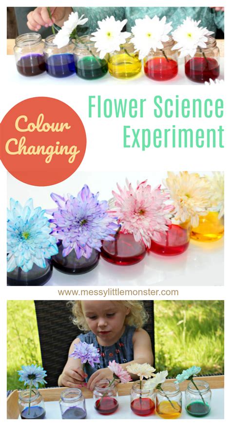 Easy Experiments For Plants