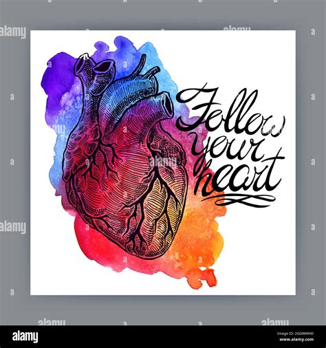 follow your heart. beautiful card with a human heart and motivational ...