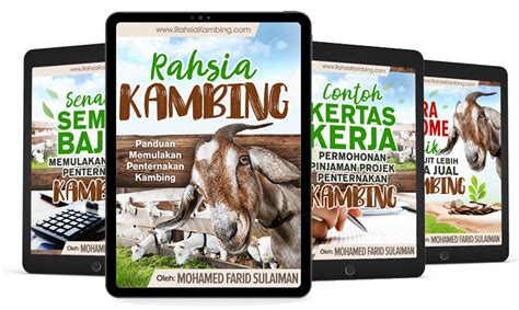 Cara Ternak Kambing Kampung