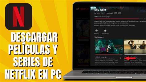 Cómo DESCARGAR Películas Y Series De NETFLIX En PC YouTube