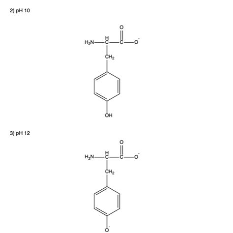 Tyrosine Structure At Different Ph