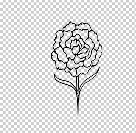 Carnation Drawing Coloring Book Flower Png Clipart Artwork Black