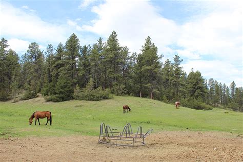 Ranches for Sale in Montana | Mason Morse Ranch Company