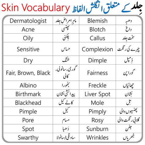 Skin Vocabulary Words List With Urdu Meanings Artofit