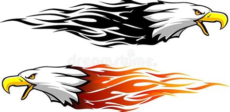 Bald Eagle Head Flame Fierce Eagle In Different Variations With