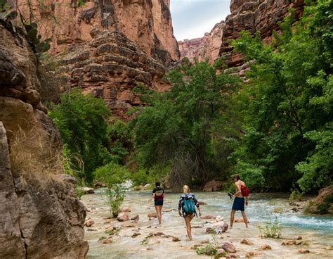 Lower Grand Canyon Rafting Trips Rivers Oceans