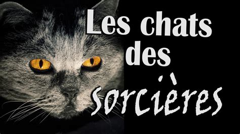 Les chats des sorcières Histoire de Bêtes 11 YouTube