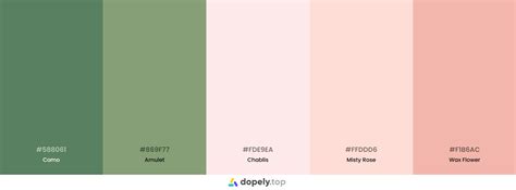 Blush Pink Color Palette