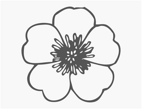 Poppy Png Black And White - Outline Flower Clipart, Transparent Png , Transparent Png Image ...