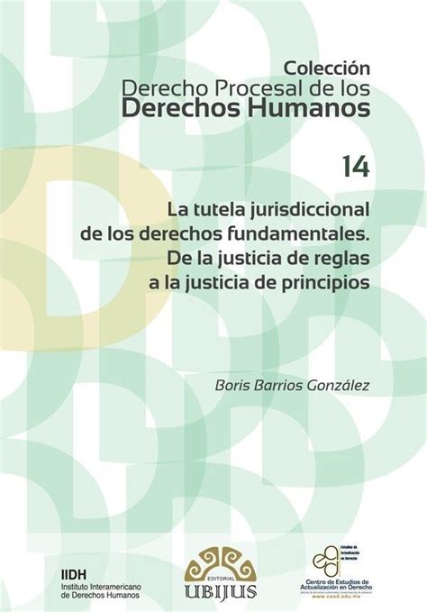 La Tutela Jurisdiccional De Los Derechos Fundamentales Grupo Corporativo Ludp And Betty Book