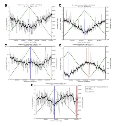 Measurement Of Bacterial Replication Rates In Microbial Communities