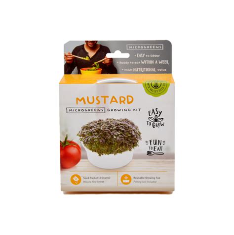 Mustard Microgreens Growing Kit – creatorwellness