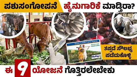 Government Subsidy Scheme For Diary Farming