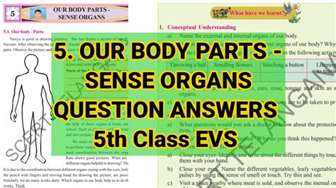 5th Class EVS 5th Lesson Our Body Parts Sense Organs Question Answers