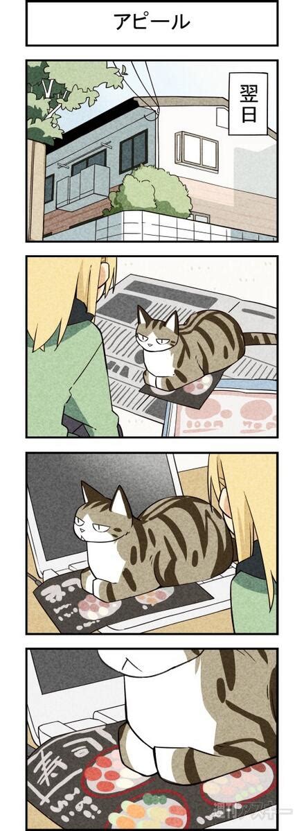 「猫と節分 週アスcomic「我々は猫である」第18回 週アスplus Asciiplus Kz」ゆきひろゆきの漫画