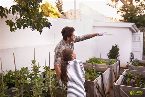 Comment Rendre Votre Potager Urbain Productif Astuces Incontournables