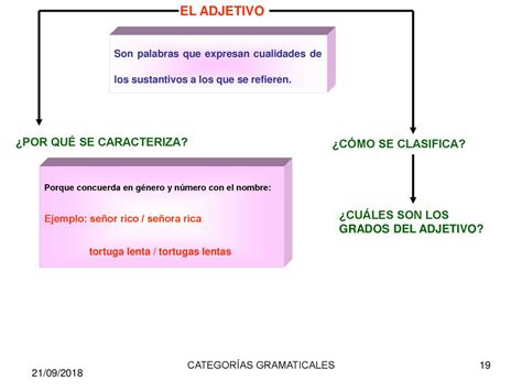 El Determinante Y El Pronombre Ppt Descargar