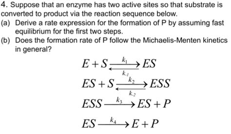 Solved Suppose That An Enzyme Has Two Active Sites So Chegg