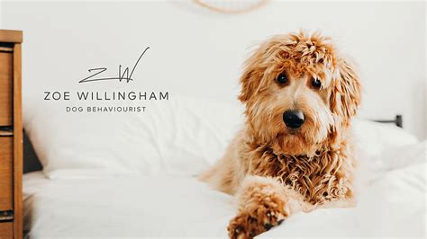 Zoe Willingham Dog Behaviourist | near me