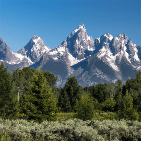 Pourquoi Les Tetons Pointent Pourqu Io