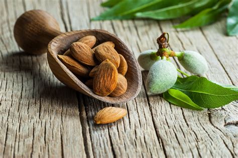 Almonds For Weight Loss What Does Science Say BetterMe