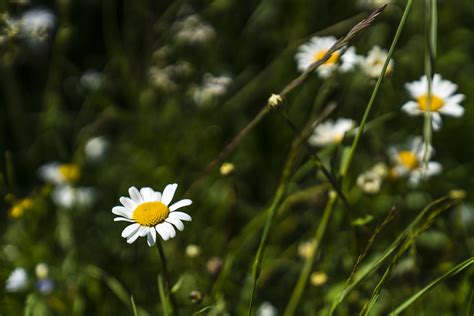 Vom Val De Travers Nach La Br Vine Wanderung Ins Sibirien Der Schweiz