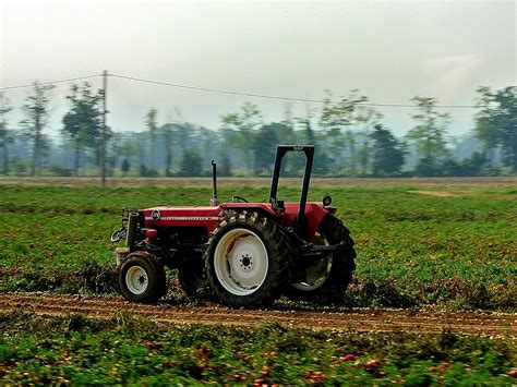 Massey Ferguson 175 Riccardo Nassisi Flickr