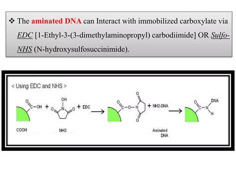 Immobilization Techniques For Dna Biosensor Ppt