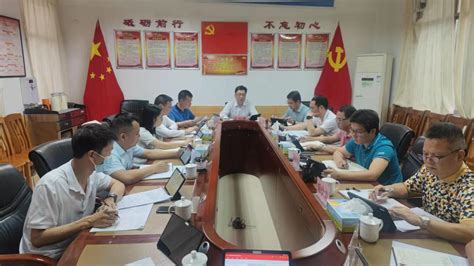 沙塘镇召开党委会 专题传达学习贯彻习近平总书记视察广东重要讲话重要指示精神