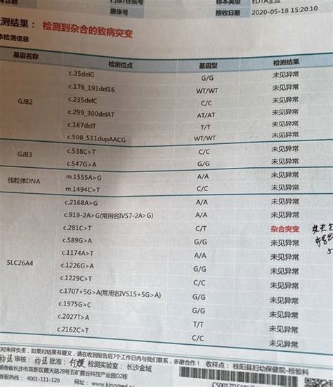 基因检测报告单图片基因检测单解读基因检查结果图片大山谷图库