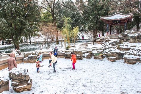 Beijing Fragrant Hills Park In Winter China Org Cn