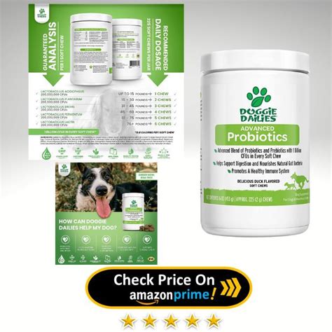 Best Dog Probiotics To Bring Out Your Dog's Inner Puppy!