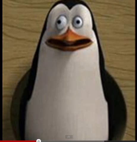 Derp Kowalski XD Penguins Of Madagascar Photo 29816732 Fanpop