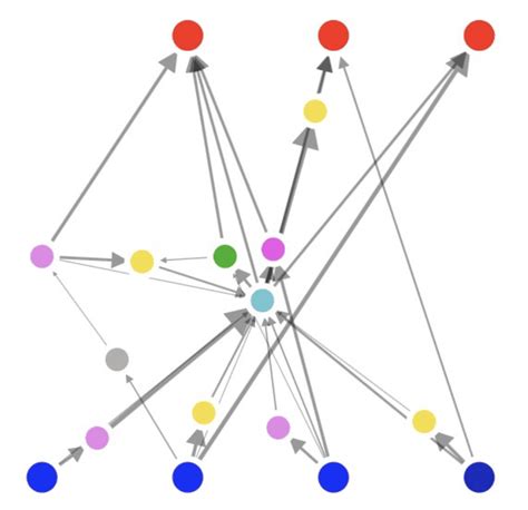 The Neat Neuroevolution Algorithm Thecoderschool Blog