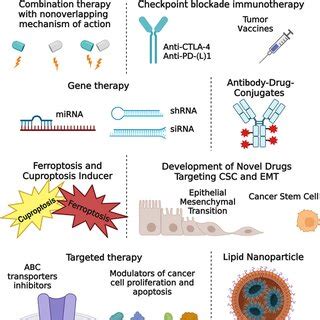 Overcoming Drug Resistance In Cancer The Purpose Of Overcoming The