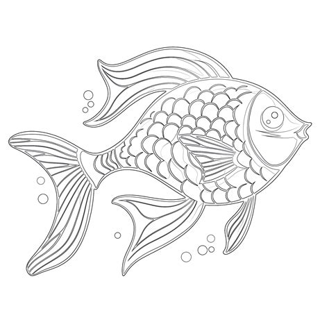 Free Printable Rainbow Fish Coloring Pages Coloring Pages Mimi Panda