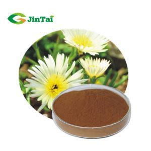 Sceletium Tortuosum Extract Suppliers, Manufacturers and Factory - Wholesale Products - Shaanxi ...