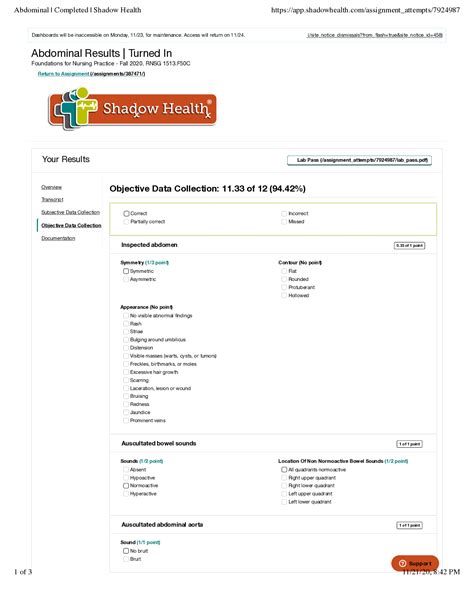 Nur Comprehensive Assessment Results Turned In Patient Assessment