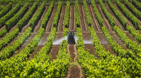 Descubre Todo Sobre La Agricultura En Colombia Y Mucho Más