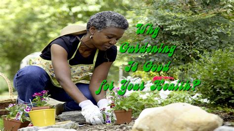 Why Gardening Is Good For Your Health Songarc Blog