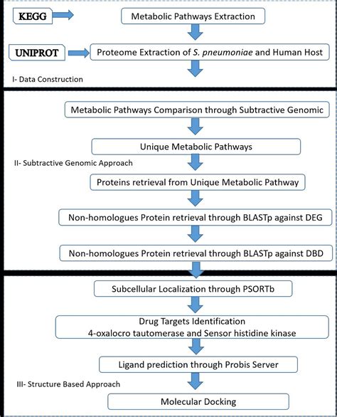 Frontiers Comparative Metabolic Pathways Analysis And Subtractive