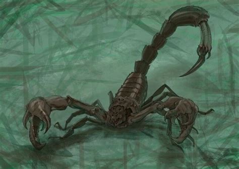 Scorpion Humanoid Sketch Animals Art