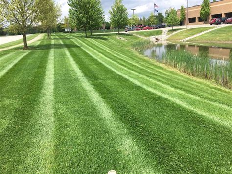 Commercial Lawn Maintenance Company | Todd's Services