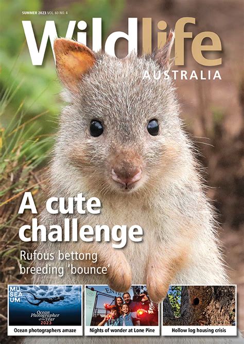 Wildlife Australia Magazine Wildlife Preservation Society Of Queensland