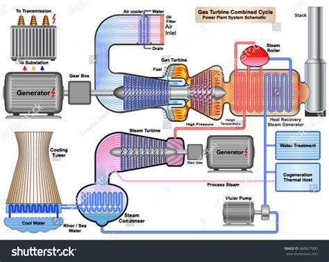 Vector Combyne Cycle Plant Hot Sex Picture