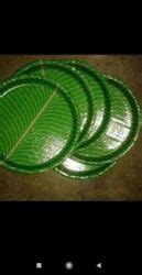 Areca Leaf Plates in Mumbai एरक पतत क पलट मबई Maharashtra