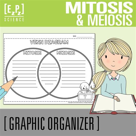 Mitosis Vs Meiosis Vocabulary Graphic Organizer Biology Cell The Best