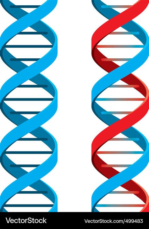 Dna symbol Royalty Free Vector Image - VectorStock