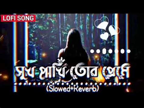 Sukh Pakhi Tor Premete সখ পখ Slowed X Reverb bangla lofi song